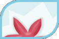 molds diagram